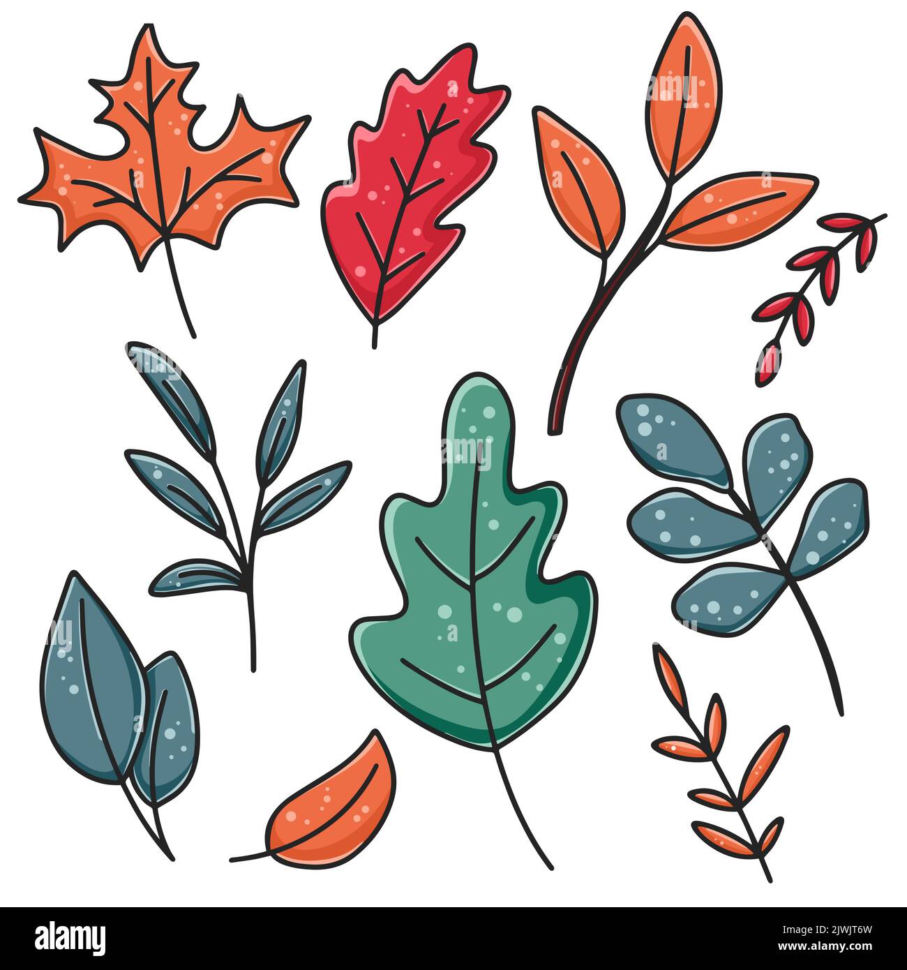 Définir l'illustration des feuilles d'automne lumineuses isolées par vecteur. Falaise de feuillage botanique divers. Feuilles brindilles et herbes caricatures décoration pour le design Illustration de Vecteur