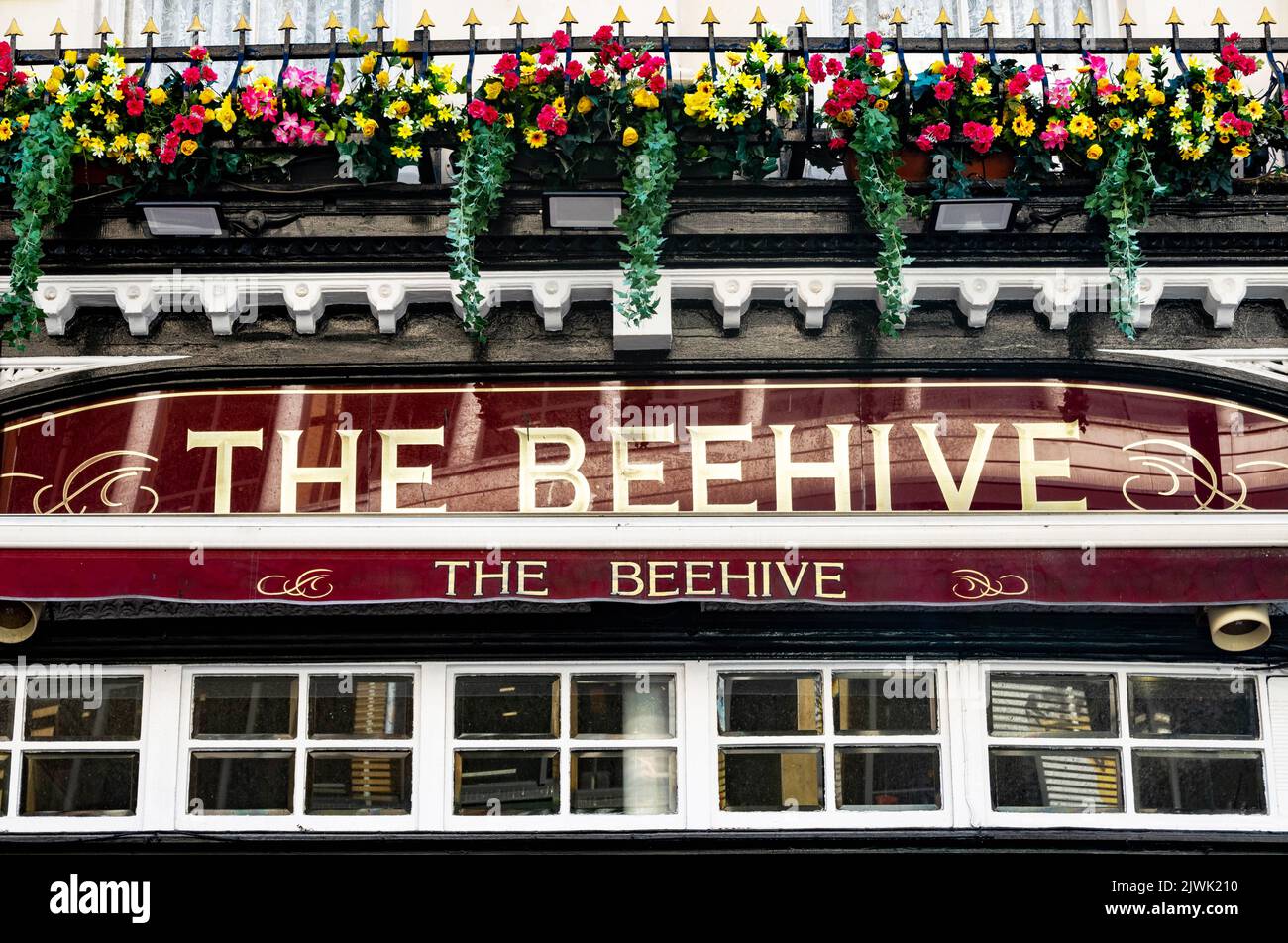 Panneau au-dessus de l'entrée du Beehive, un pub dans le centre-ville de Liverpool Banque D'Images