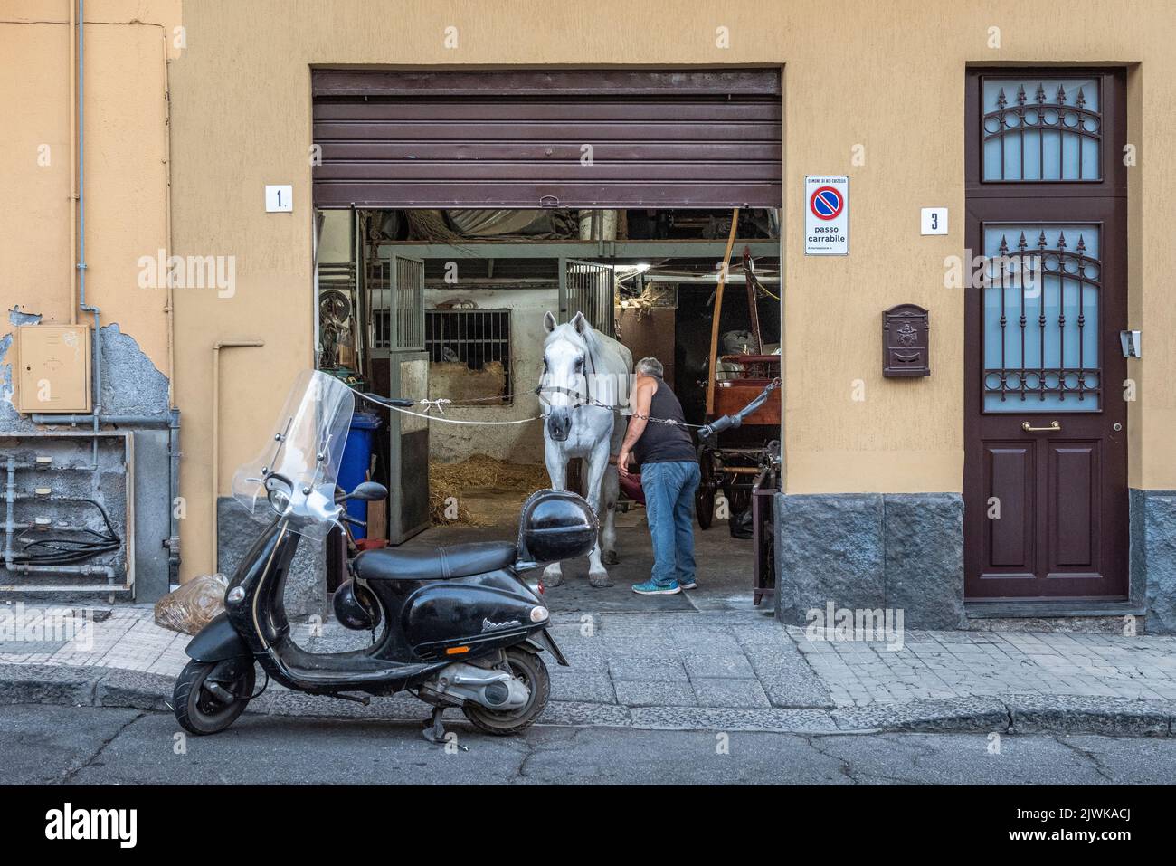 Dans le village de pêcheurs sicilien d'ACI Castello, un homme grie le cheval qu'il garde dans un garage reconverti Banque D'Images