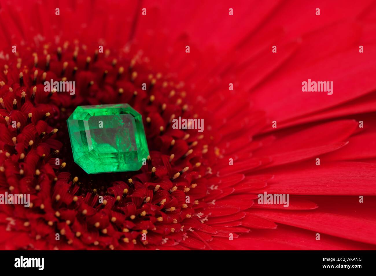 Pierre géante vert naturel sur fleur de rose rouge Banque D'Images