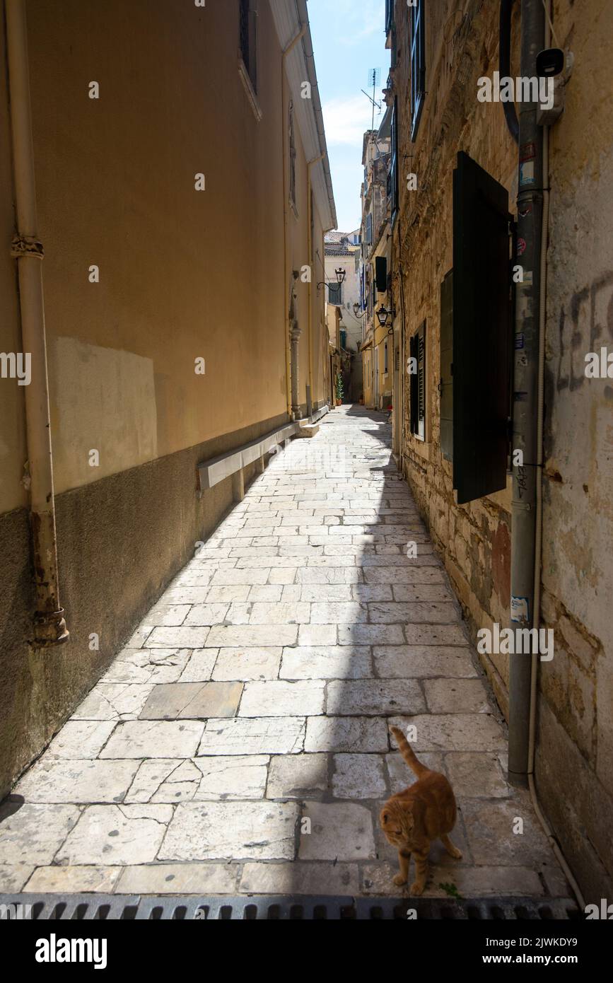 Rue étroite dans la ville de Corfou, Iles Ioniennes, Grèce Banque D'Images