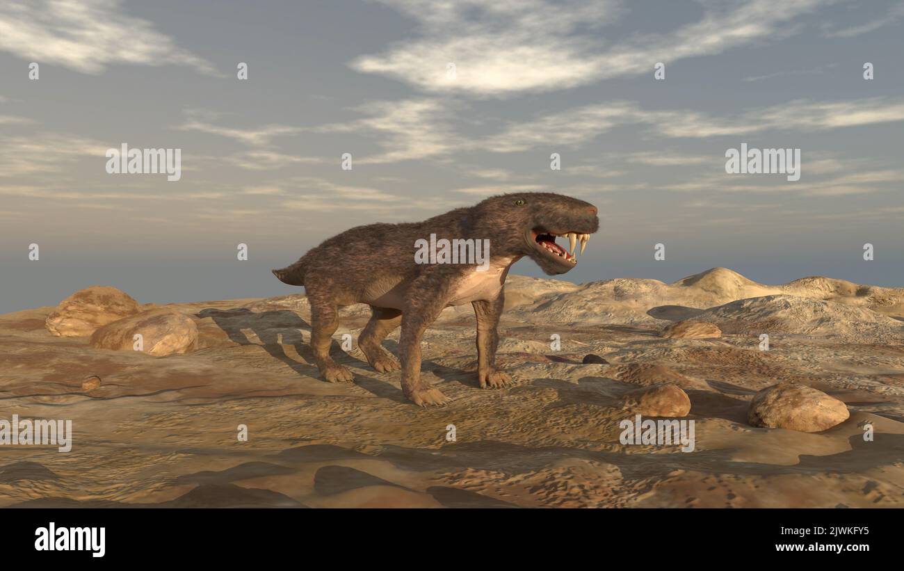 Inostrancevia sur un sol rocheux Banque D'Images