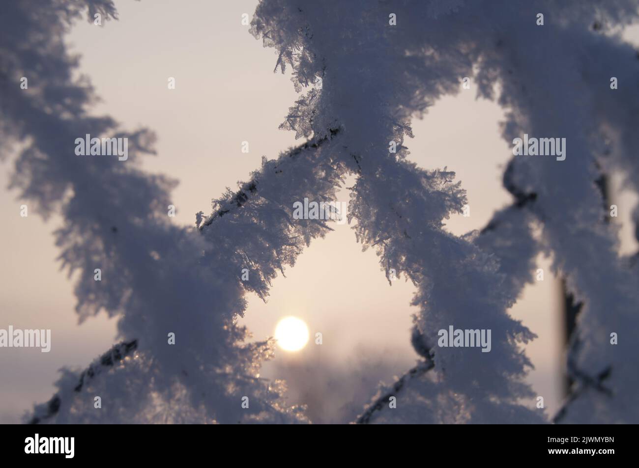 Grille en métal dépoli au début de l'hiver Banque D'Images