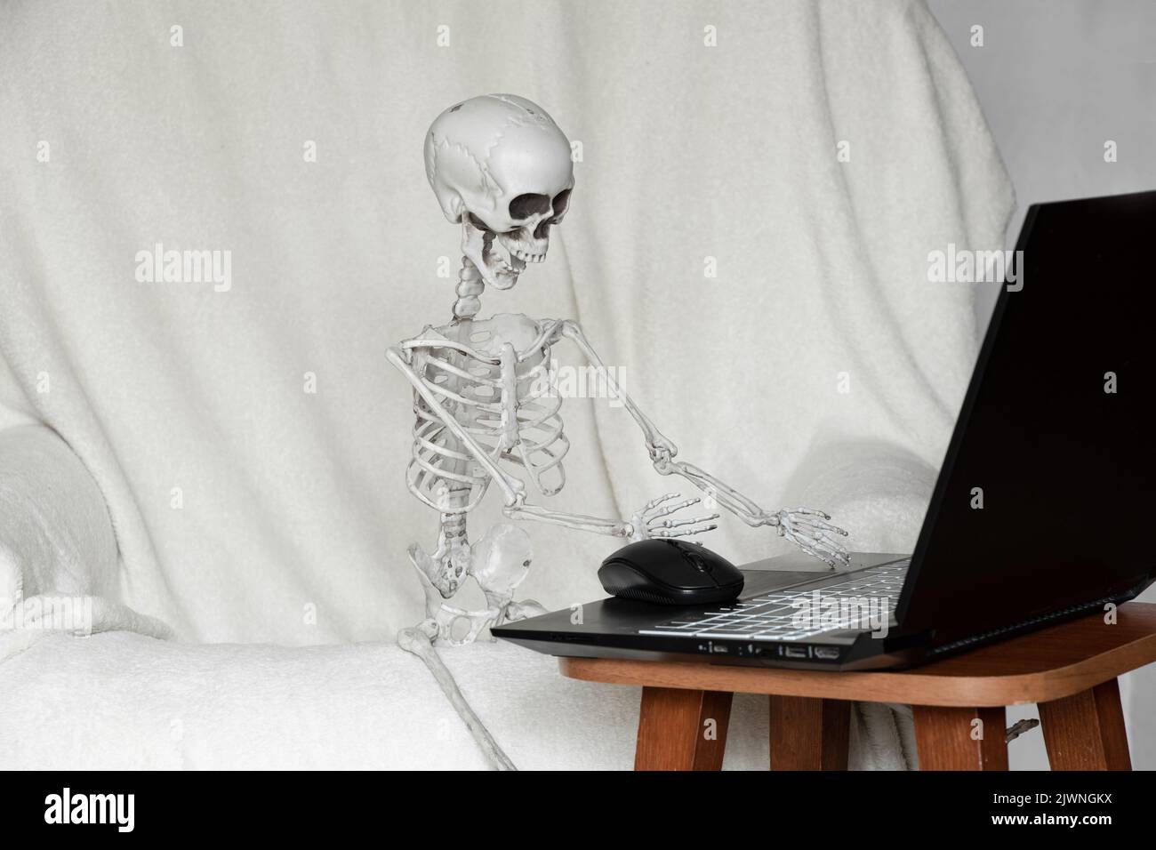 Le squelette est assis sur un fauteuil derrière un ordinateur portable dans un appartement, travail en ligne, travail excessif et stress Banque D'Images