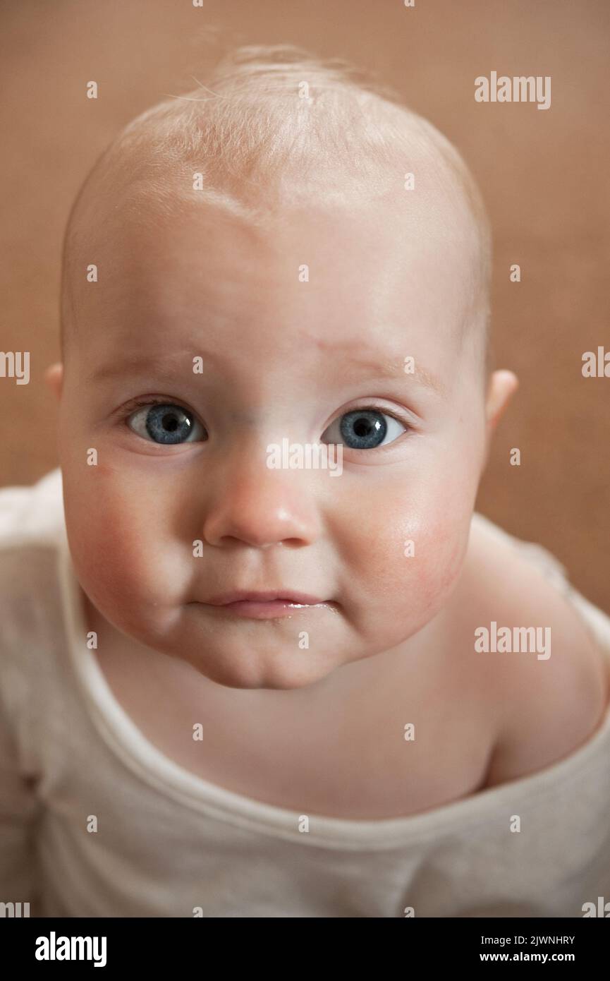 Portrait d'un bébé de huit mois avec des yeux bleus regardant directement l'appareil photo sur un fond neutre. Banque D'Images