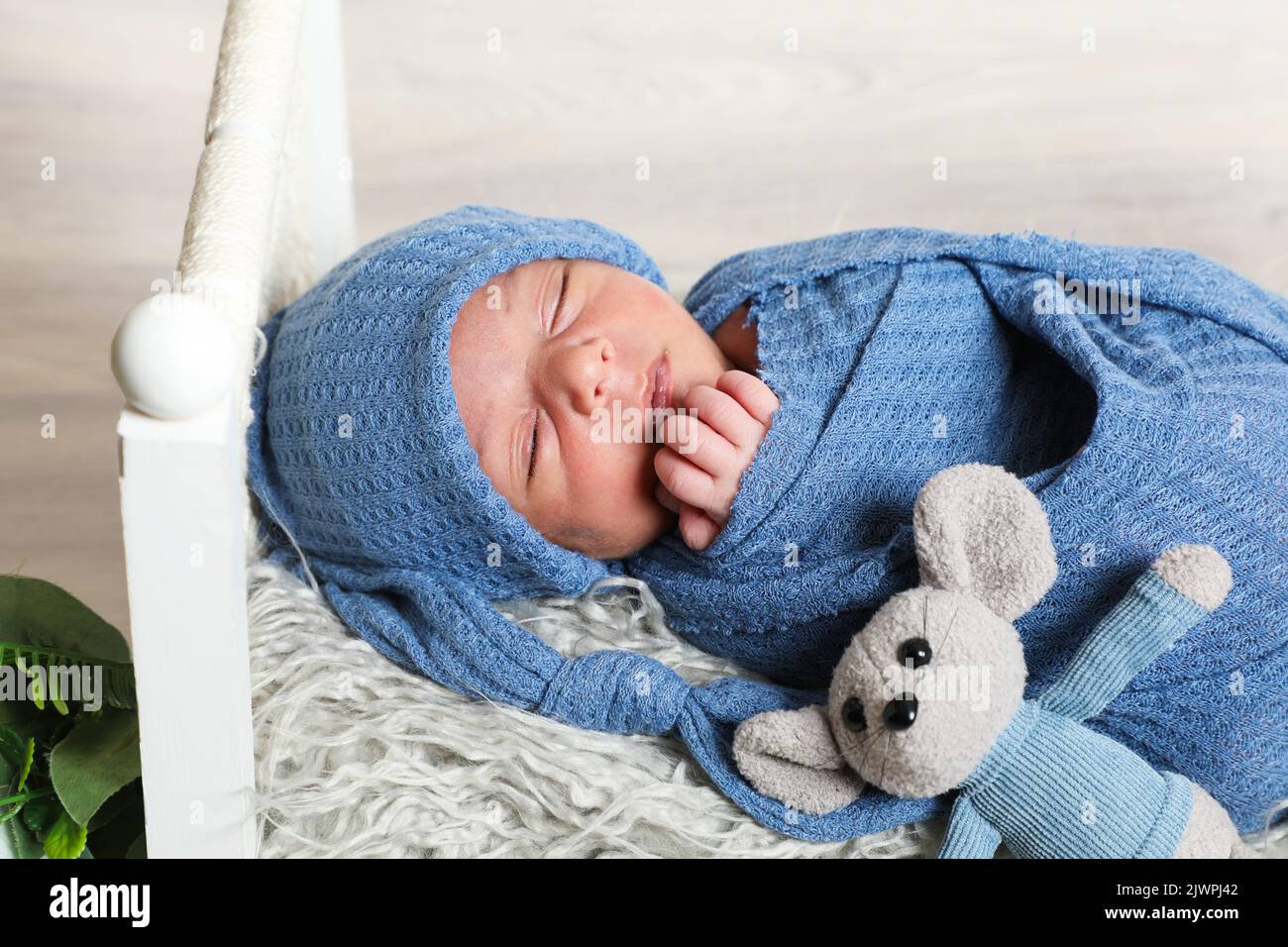 bébé nouveau-né garçon emmailloté dans une serviette bleue avec la tête  enveloppée sur la petite fleur de lit et les feuilles Photo Stock - Alamy