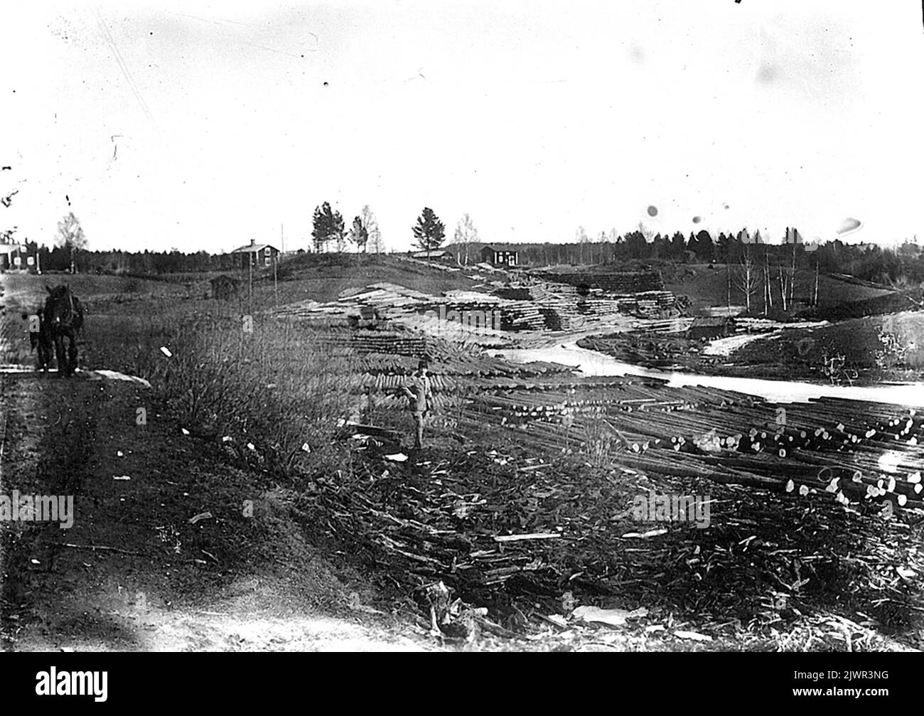 Åsveden, la haie de pêche. Völberg, Fäktäkten. Banque D'Images