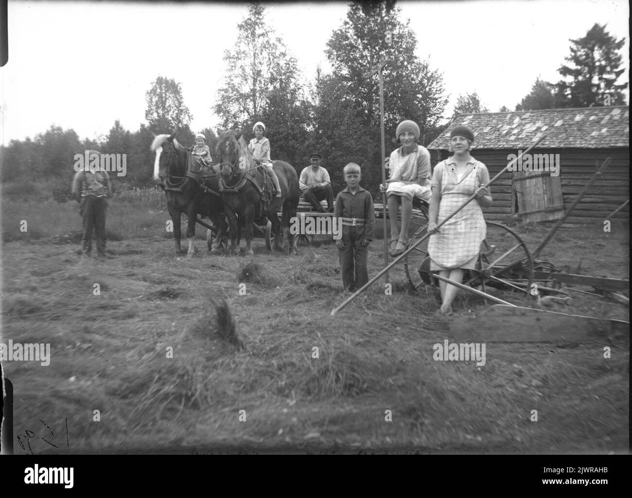 Travaux agricoles. Jordbruksarbete. Banque D'Images