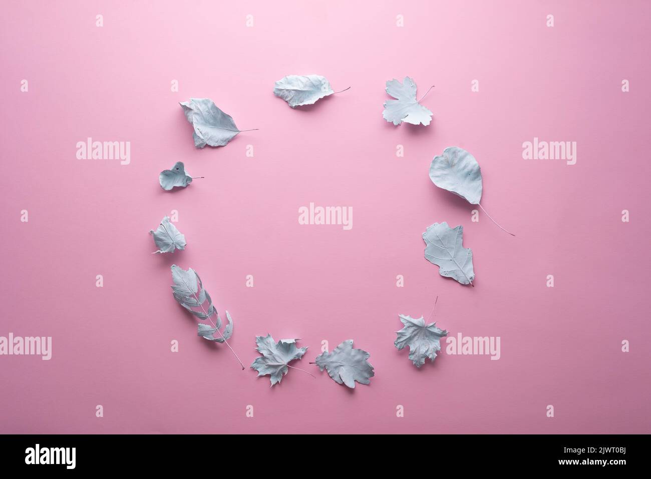 cercle de feuilles d'automne dans la peinture sur fond rose concept minimal. Banque D'Images