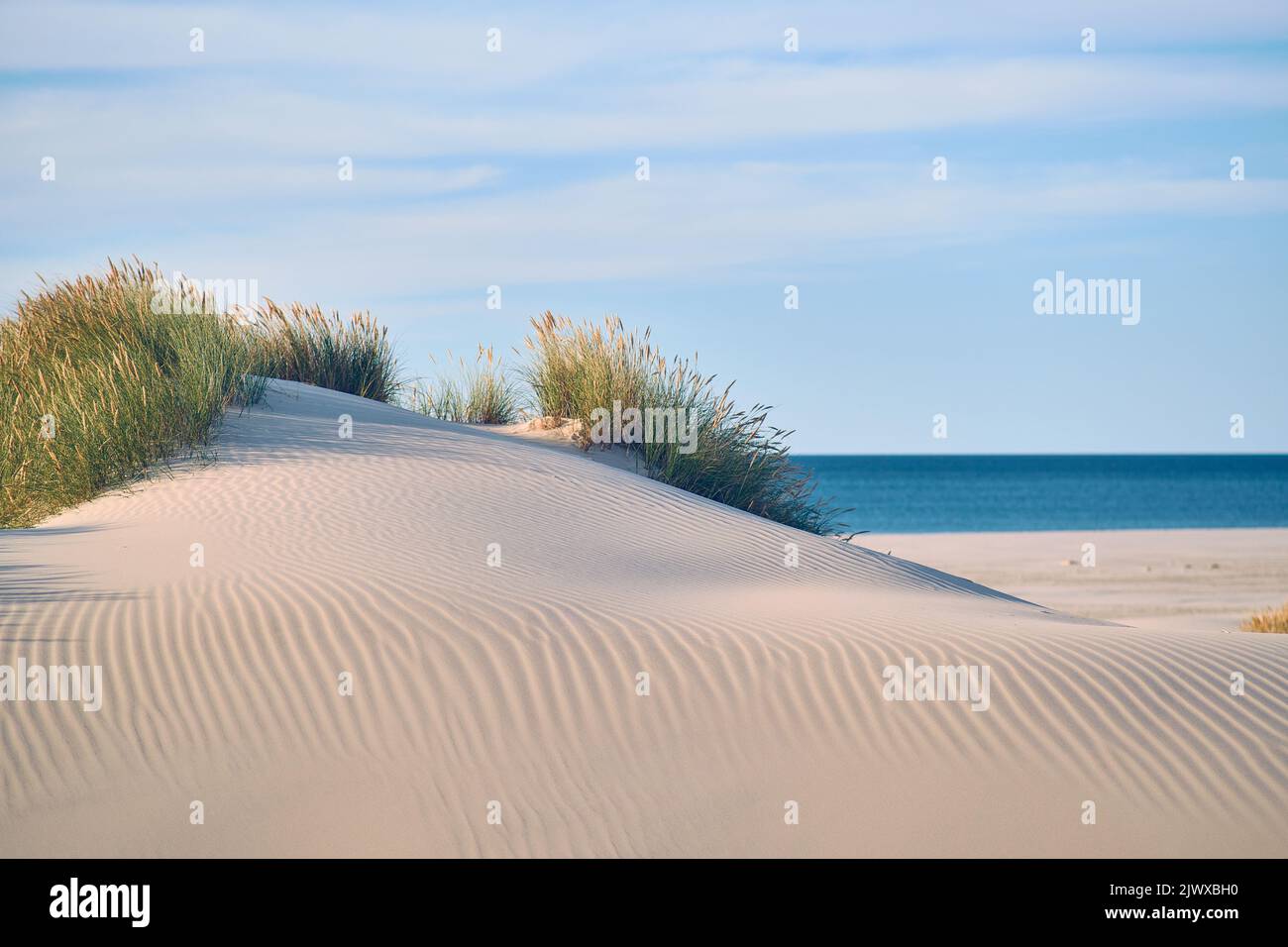 Dune de sable sur la plage danoise. Photo de haute qualité Banque D'Images