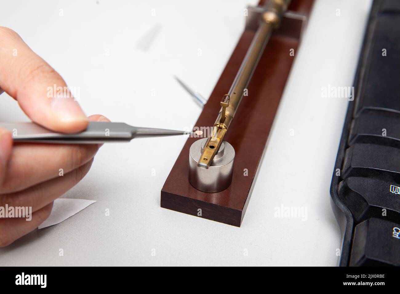 Le porte-échantillon du microscope électronique à transmission a été chargé avec un échantillon sur une grille Banque D'Images