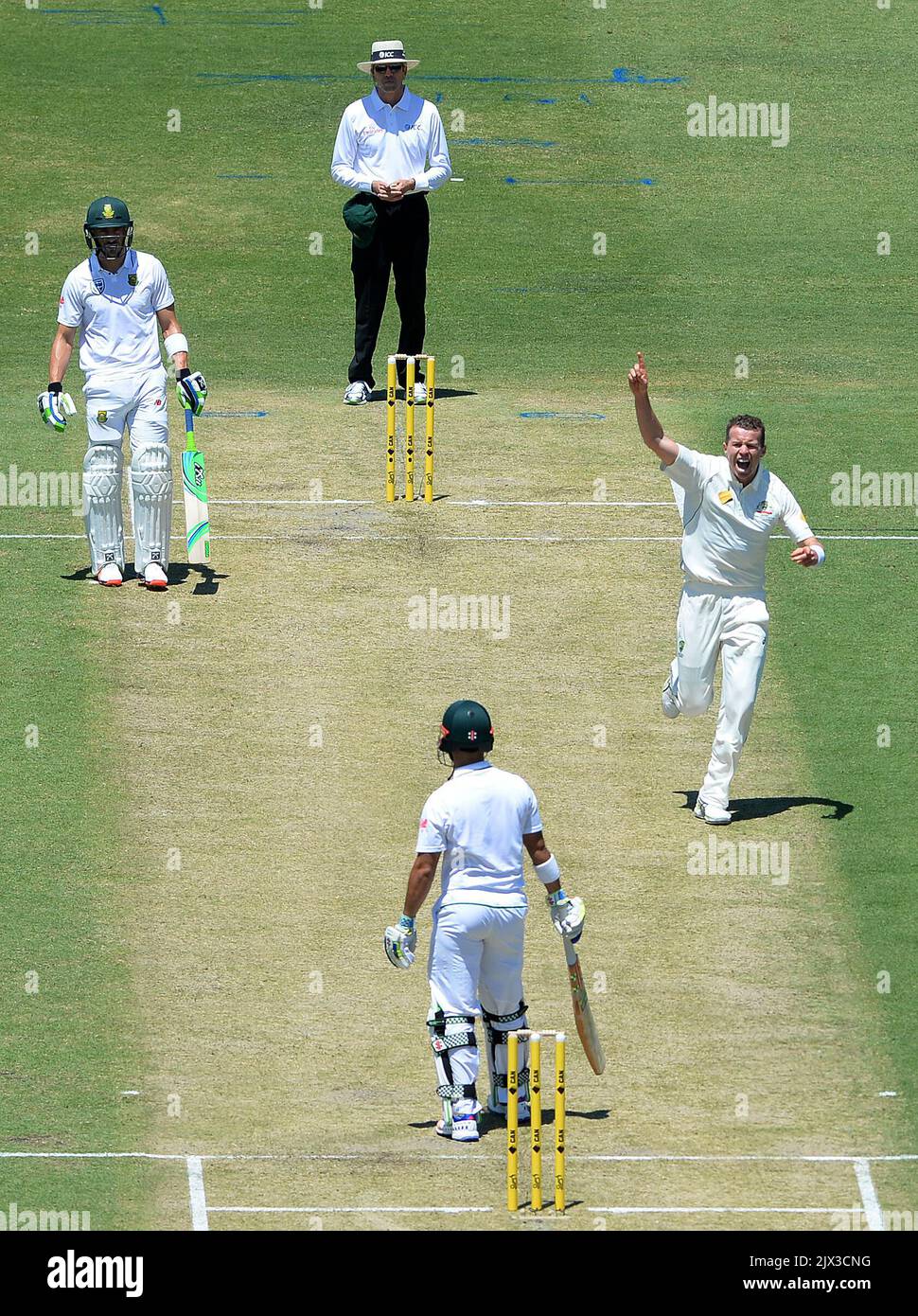 Le batteur australien Peter Siddle réagit après avoir congédié le batteur sud-africain Jean-Paul Duminy pour 11 courses le jour 1 du premier match test entre l'Australie et l'Afrique du Sud au Western Australia Cricket Ground (WACA) à Perth, le jeudi 3 novembre 2016. (AAP image/Dave Hunt) Banque D'Images