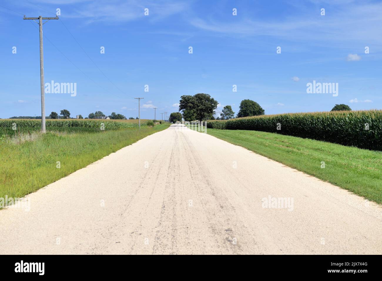 Maple Park, Illinois, États-Unis. Une route de terre traverse des champs de maïs dans le nord-est rural de l'Illinois. Banque D'Images
