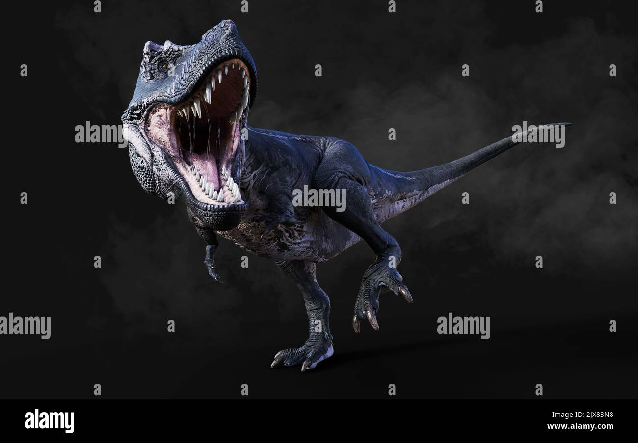 3D Illustration du dangereux Tyrannosaurus Rex actes et poses isolés sur fond noir avec le chemin de coupure Banque D'Images