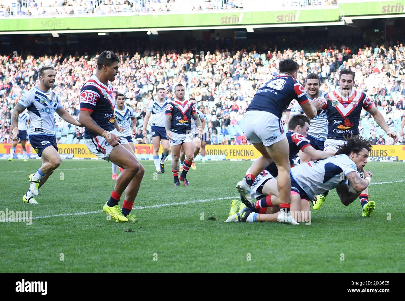 Kevin Proctor des Titans a fait un essai lors du match de rugby de la ligue du NRL Round 26 entre les Roosters de Sydney et les Titans de la Gold Coast au stade Allianz à Sydney, samedi, 2 septembre 2017. (AAP image/David Moir) Banque D'Images
