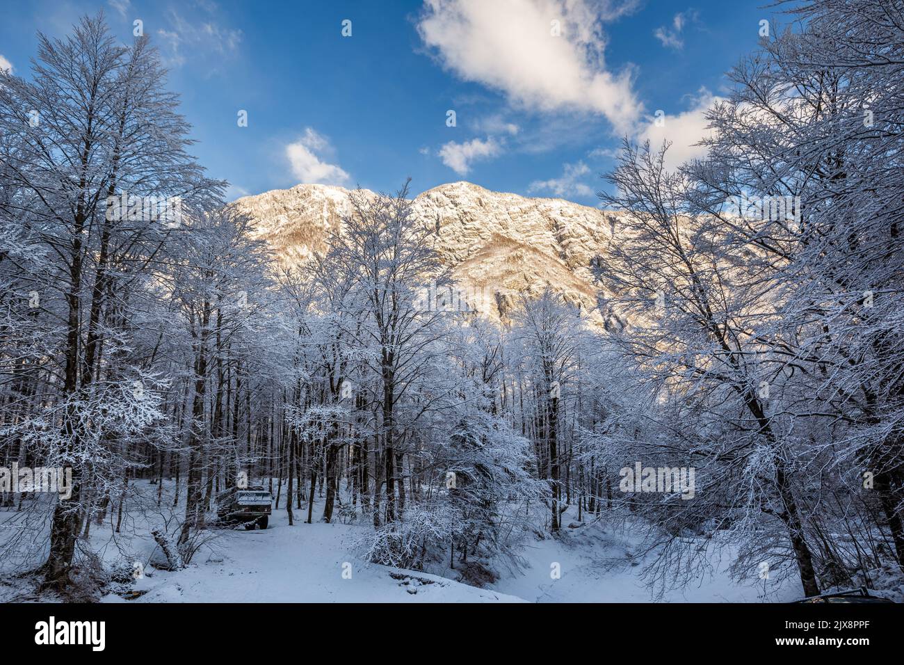 Vogel, Slovénie - magnifique paysage forestier d'hiver à Vogel, Slovénie avec montagne ensoleillée, vieux camion de l'armée sous les arbres et ciel bleu clair à l'arrière Banque D'Images