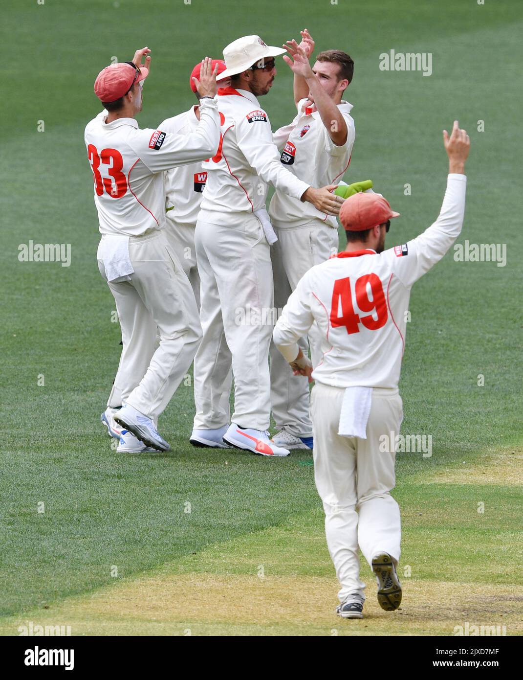 Nick Winter of the Redbacks célèbre avec ses coéquipiers le licenciement de Travis Dean des Bushrangers au cours du 2 e jour du match de cricket JLT 6 entre l'Australie méridionale et Victoria à l'Adelaide Oval à Adélaïde, vendredi, 9 février 2018. (AAP image/David Mariuz) Banque D'Images