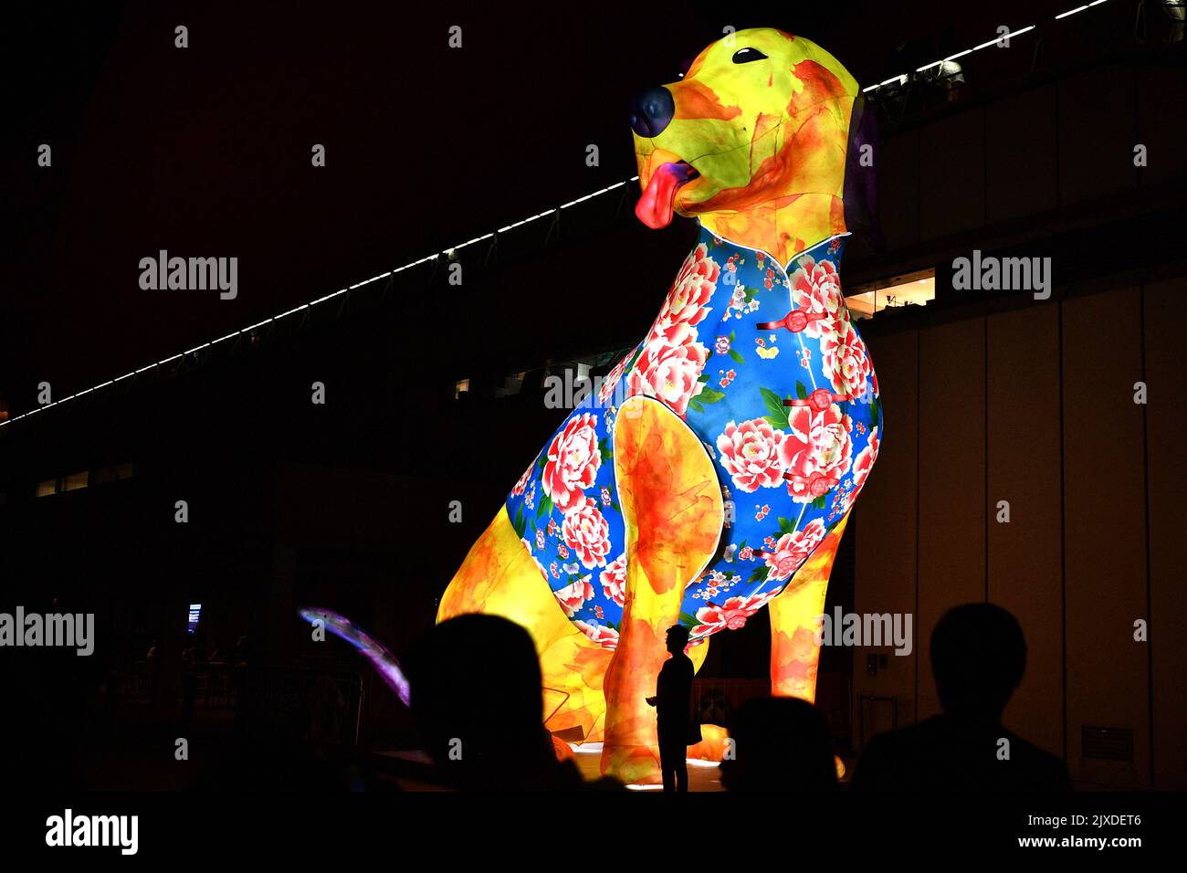 Un chien de lanterne lunaire géant de huit mètres pour célébrer le nouvel an chinois à Sydney, vendredi, 16 février 2018. Le pont emblématique et l'opéra de Sydney sont rouge éclatant, ce qui signifie le début des plus grandes célébrations du nouvel an chinois en dehors de l'Asie. (AAP image/Joel Carrett) Banque D'Images