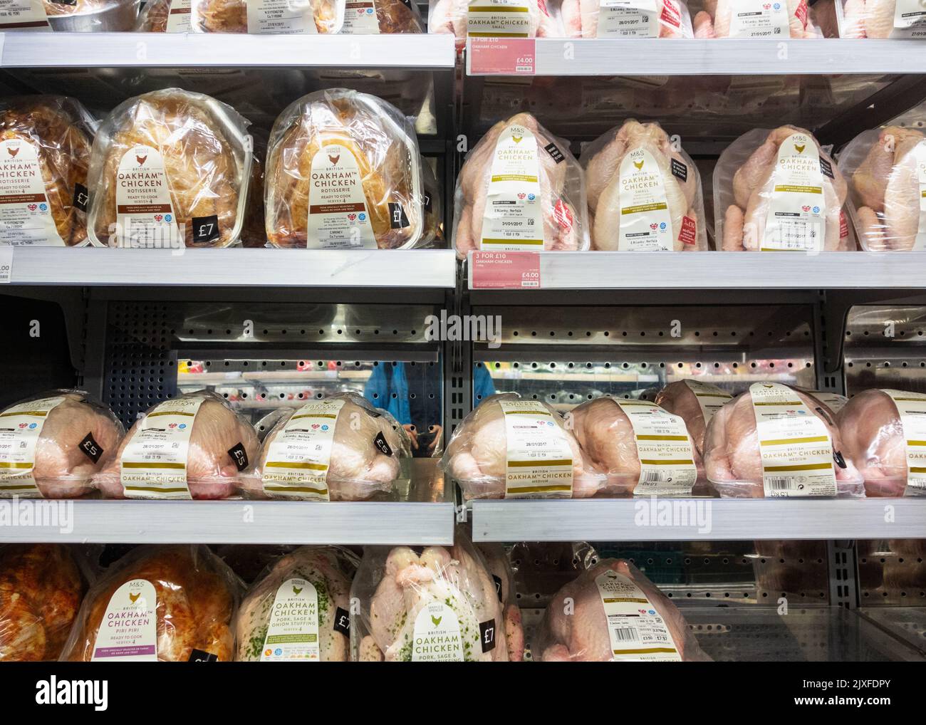 Vin blanc dans l'affichage magasin Marks & Spencer. Angleterre, Royaume-Uni Banque D'Images