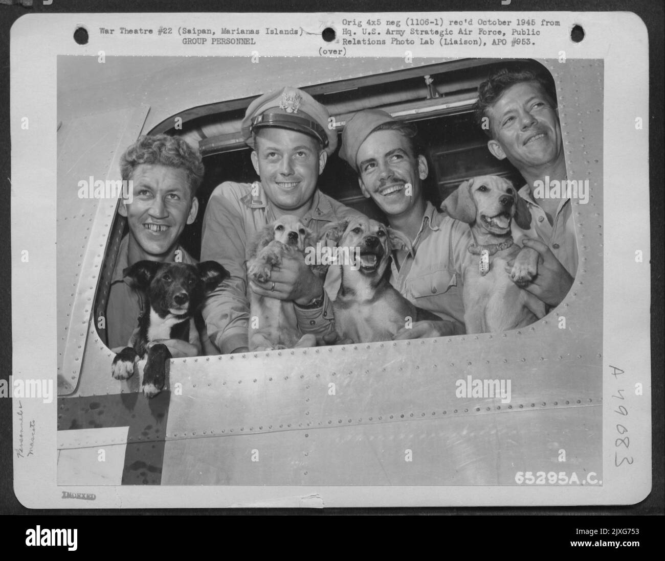 Quatre hommes de la Force aérienne tiennent des mascottes tout en posant à la fenêtre d'Un B-24 consolidé 'Liberator'. La taille relative des chiens indique la durée pendant laquelle leurs maîtres ont servi dans les missions de combat. Les hommes sont, de gauche à droite: S/Sgt. Joseph M. Hagan, 1916 nous Banque D'Images