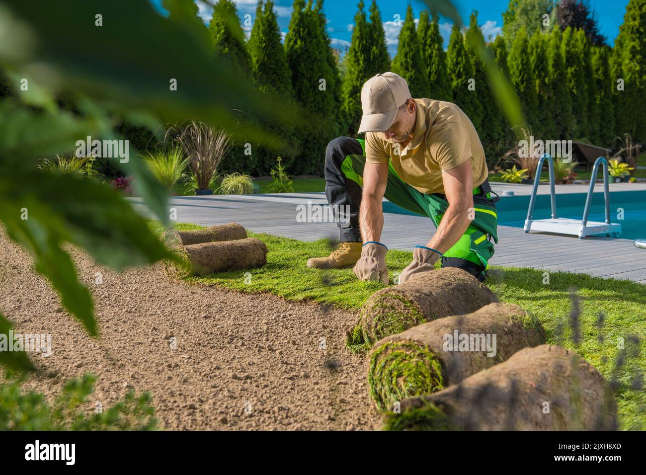Rouleaux de gazon naturel installés par un paysagiste professionnel. Construire une pelouse autour de la piscine. Banque D'Images