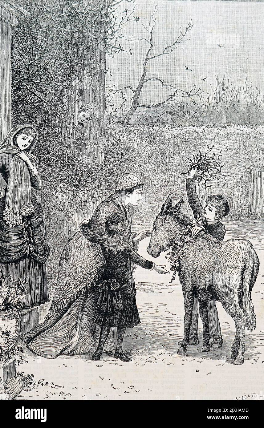 Illustration représentant le houx et le GUI pour Noël. Illustré par Mary Ellen Edwards (1838-1934) artiste anglaise. Daté du 19th siècle Banque D'Images
