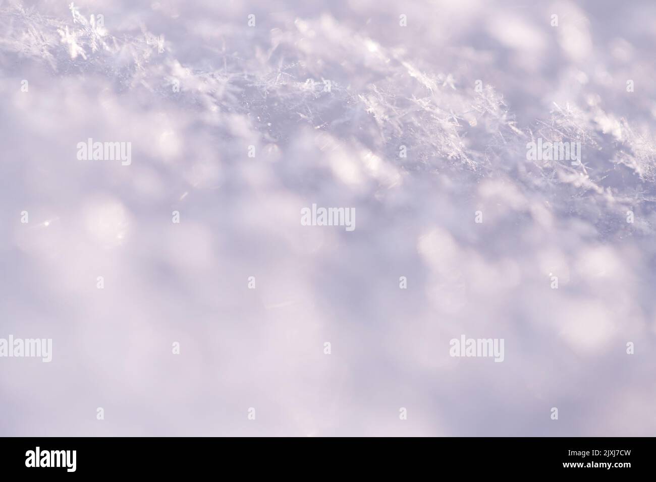 Photo macro de la neige en violet. Banque D'Images
