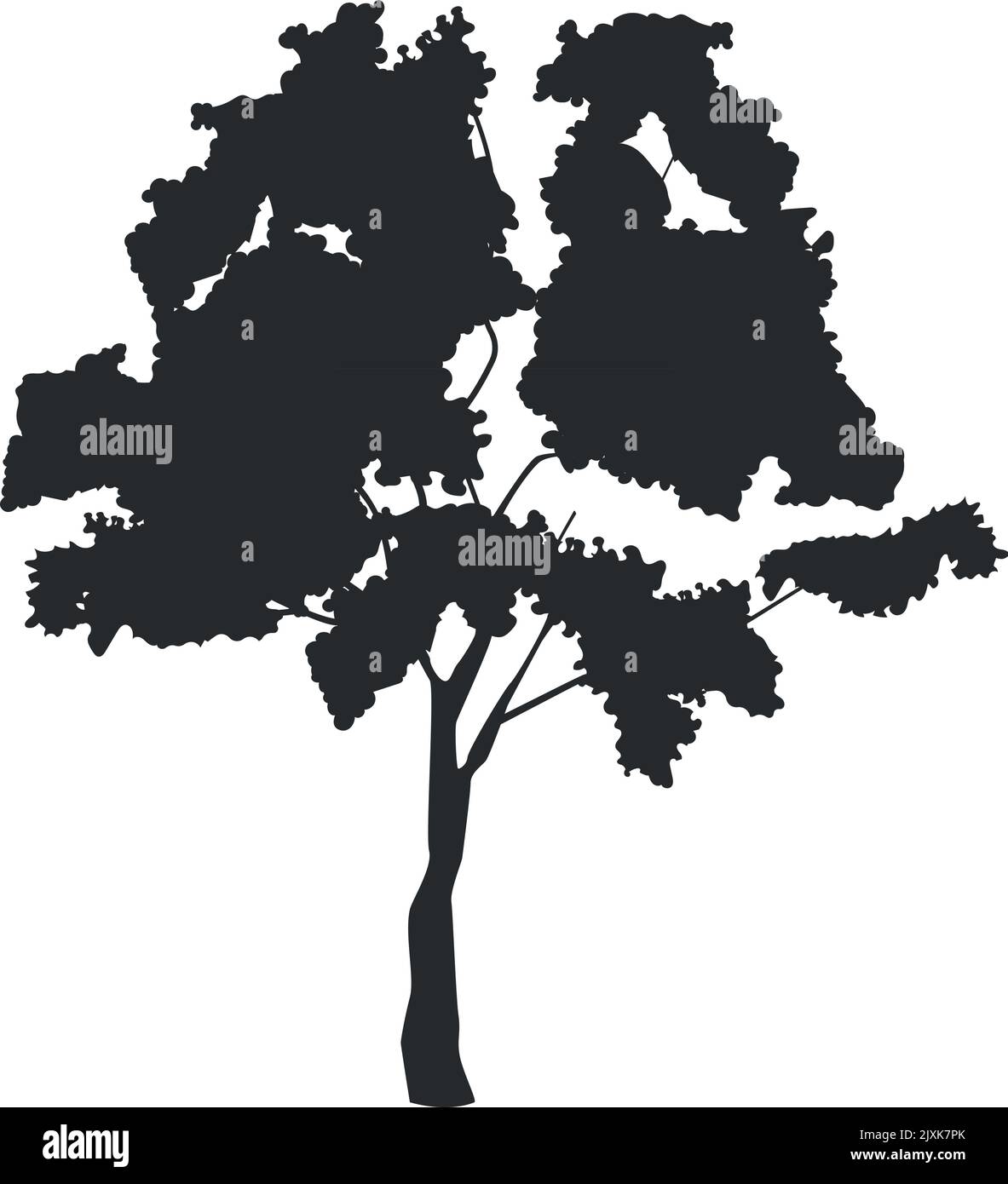Silhouette de tilleul noir. Park Flora Element Illustration de Vecteur
