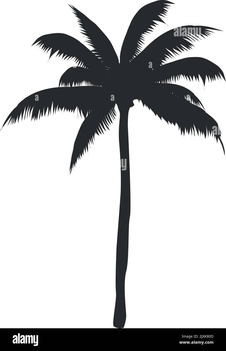 Silhouette de paume noire. Arbre tropical South Beach Illustration de Vecteur