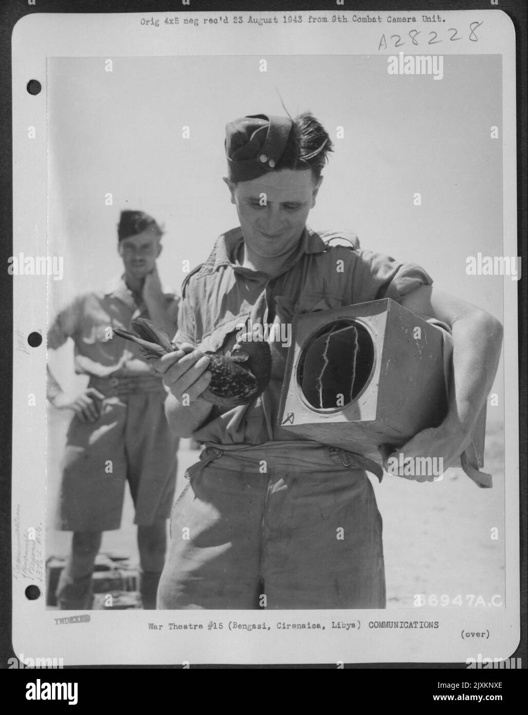 Sgt. Ambler de la RAF, et 'Tyke,' le pigeon d'origine qu'il a formé pour la neuvième US Air Force au Moyen-Orient. « Tyke » a sauvé la vie de membres d'un bombardier de Boston forcé en Méditerranée en portant un message à la maison donnant lieu à la Banque D'Images Sgt. Ambler de la RAF, et 'Tyke,' le pigeon d'origine qu'il a formé pour la neuvième US Air Force au Moyen-Orient. « Tyke » a sauvé la vie de membres d'un bombardier de Boston forcé en Méditerranée en portant un message à la maison donnant lieu à la Banque D'Images