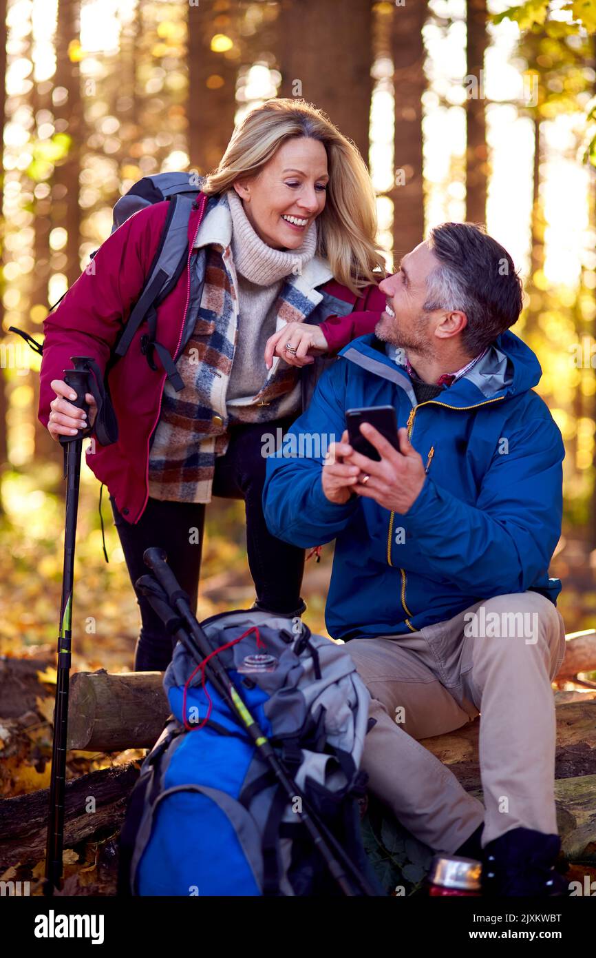 Les couples retraités d'âge mûr marchent dans la campagne d'automne ou d'hiver en utilisant la carte ou l'application de navigation sur le téléphone mobile Banque D'Images