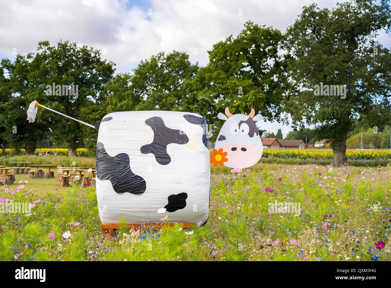 vache de dessin animé dans un pré de fleur sauvage faite d'une balle de foin et mop avec des tournesols dans le fond. Banque D'Images