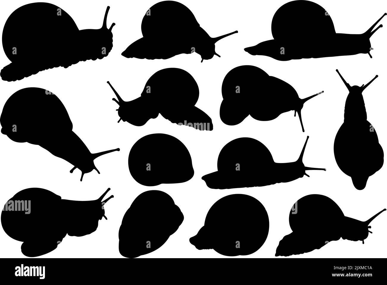 Illustration de différentes silhouettes d'escargot isolées sur blanc Illustration de Vecteur