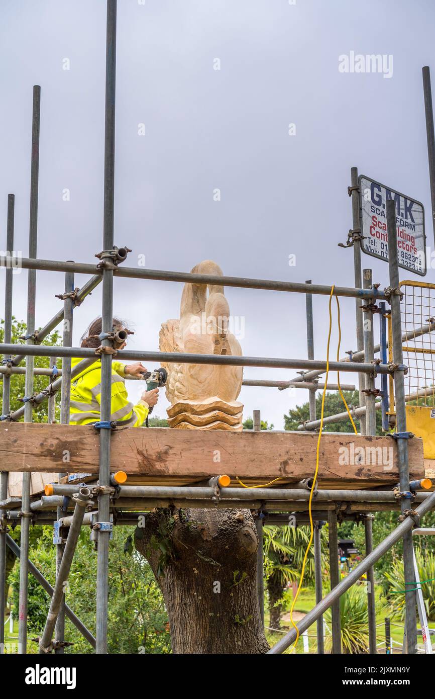 Le cygne sculpte à la main à l'aide d'un tronc d'arbre sur un chemin public. Les outils électriques sont utilisés pour sculpter et affiner la forme du cygne. Le travailleur travaille sur un encl Banque D'Images