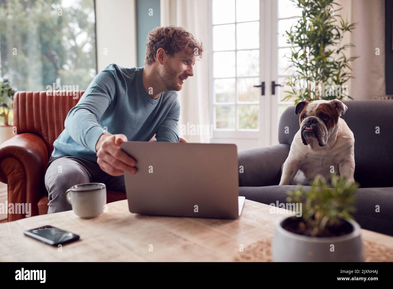 Homme travaillant de la maison sur un ordinateur portable assis avec un chien Bulldog d'animal sur un fauteuil Banque D'Images