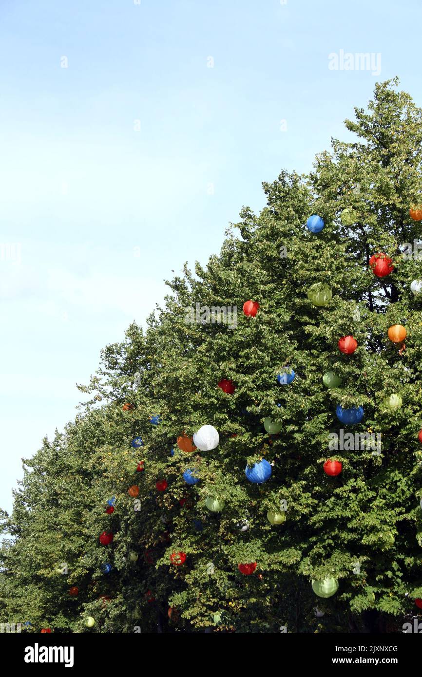 Lanternes colorées sur un arbre contre le ciel bleu Banque D'Images