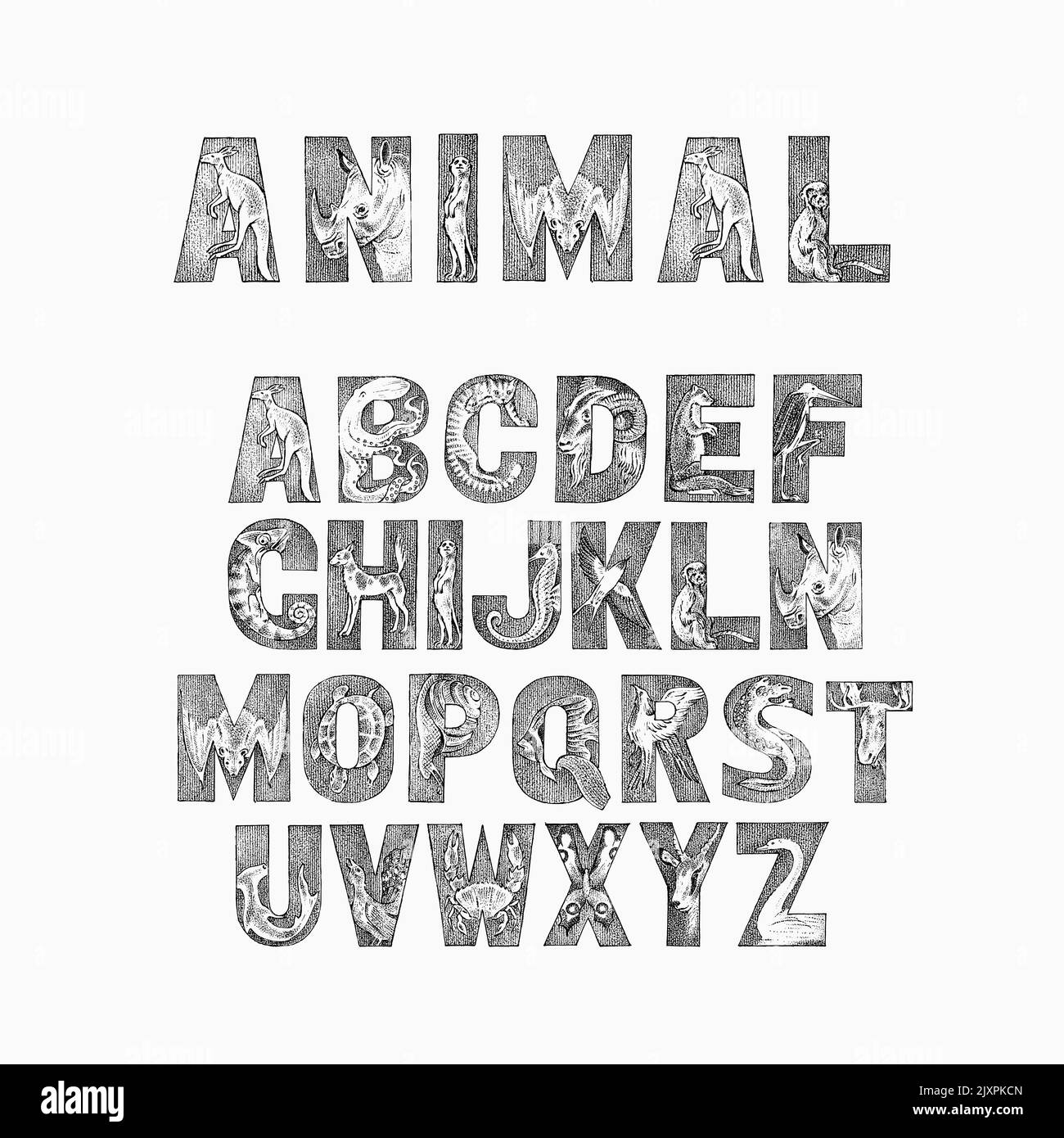 Police animaux mignons pour enfants. Alphabet antique décoratif. Police de caractères vintage. Double exposition modifiable et superposée. Kangourou, poulpe. Main Illustration de Vecteur