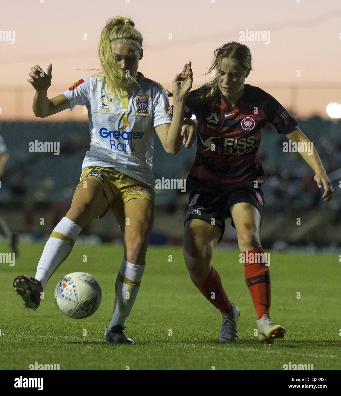 Collister Teigen des Jets lors du match de la série 4 de la W-League entre les Wanderers de l'ouest de Sydney et les Jets de Newcastle au stade Marconi à Sydney, samedi, 24 novembre 2018. (AAP image/Craig Golding) Banque D'Images
