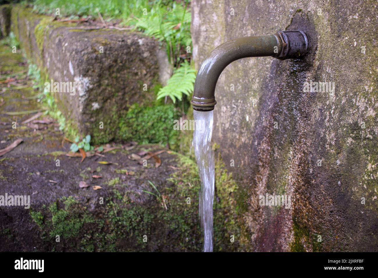 eau sortant d'un robinet dans les bois Banque D'Images