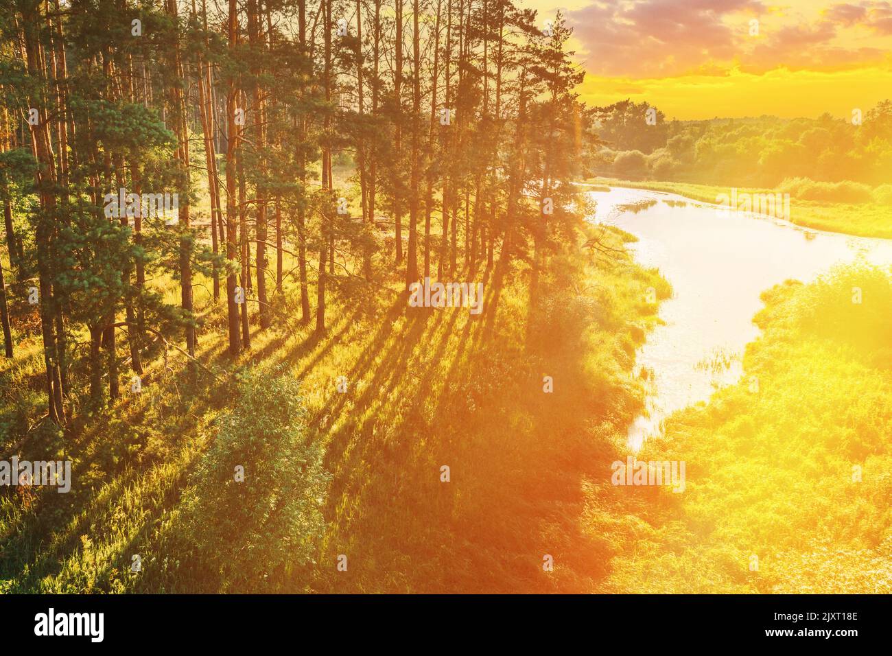 Vue aérienne de la forêt de pins et de la rivière. Vue en hauteur du paysage de la forêt de Woods pendant le coucher du soleil en soirée d'automne. Soleil à travers les bois et Banque D'Images