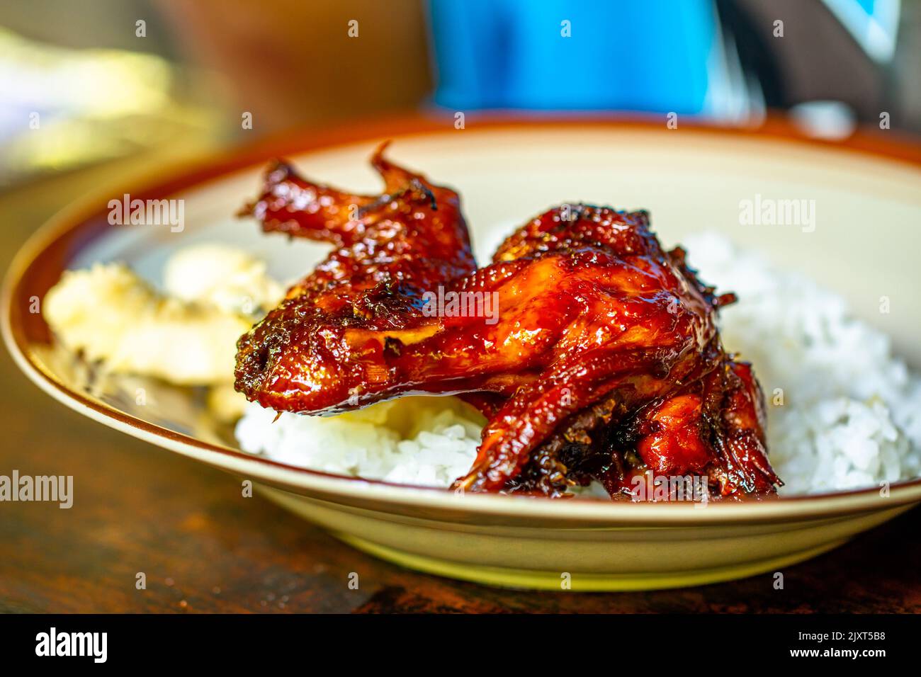 Le poulet local frit avec de la sauce soja, semble brillant et mouillé avec des épices Banque D'Images