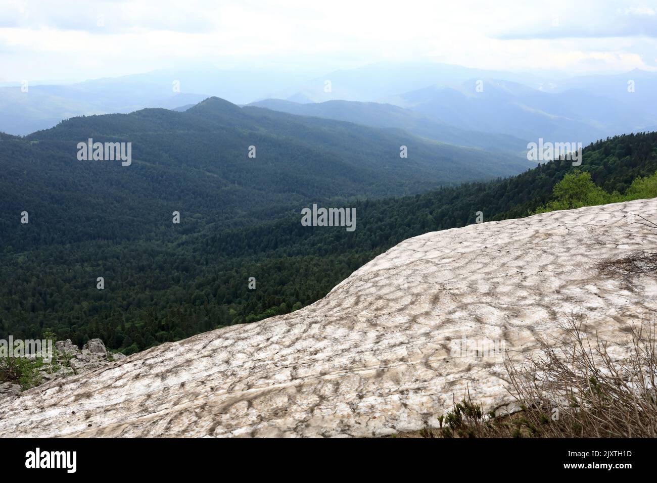 Détails de la roche avec glacier sur le plateau Lago-Naki en été, Adygea Banque D'Images