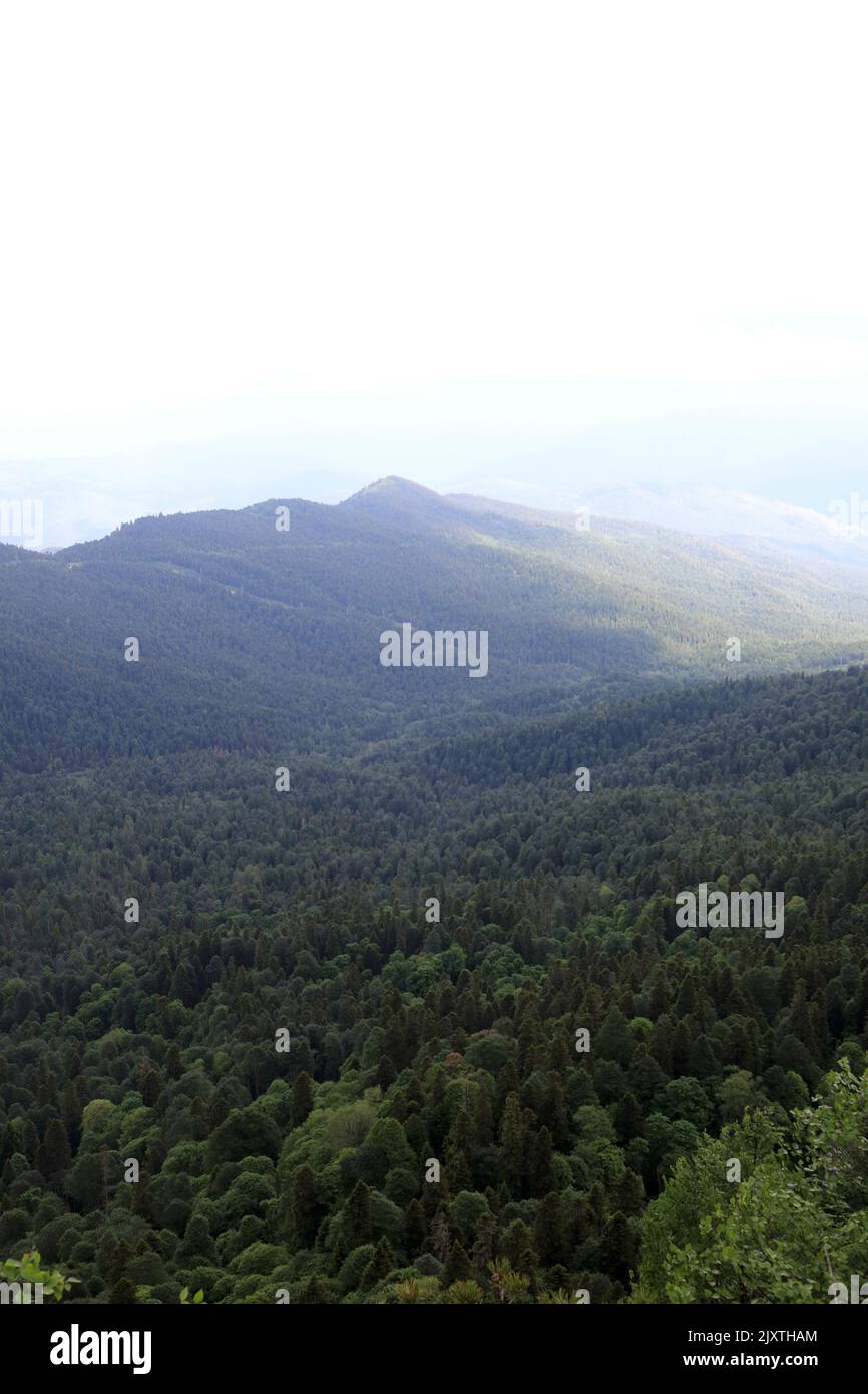 Vue sur les montagnes depuis le plateau Lago-Naki dans le Caucase occidental, à Adygea Banque D'Images