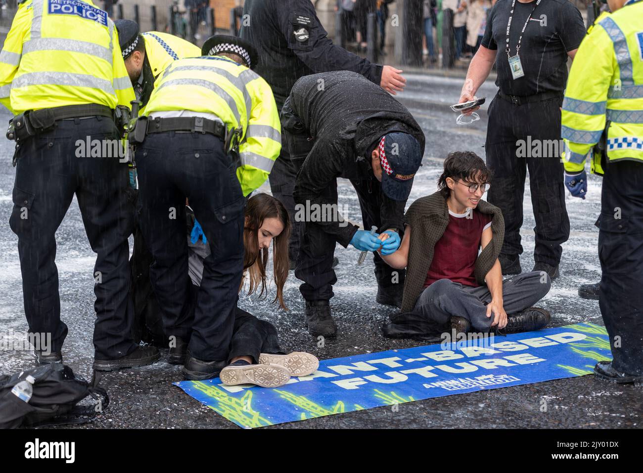 Les manifestants de la rébellion animale ont pulvérisé de peinture sur un mur du Palais de Westminster et ont bloqué la route à l'extérieur jusqu'à ce qu'ils soient arrêtés. Solvant pour colle Banque D'Images