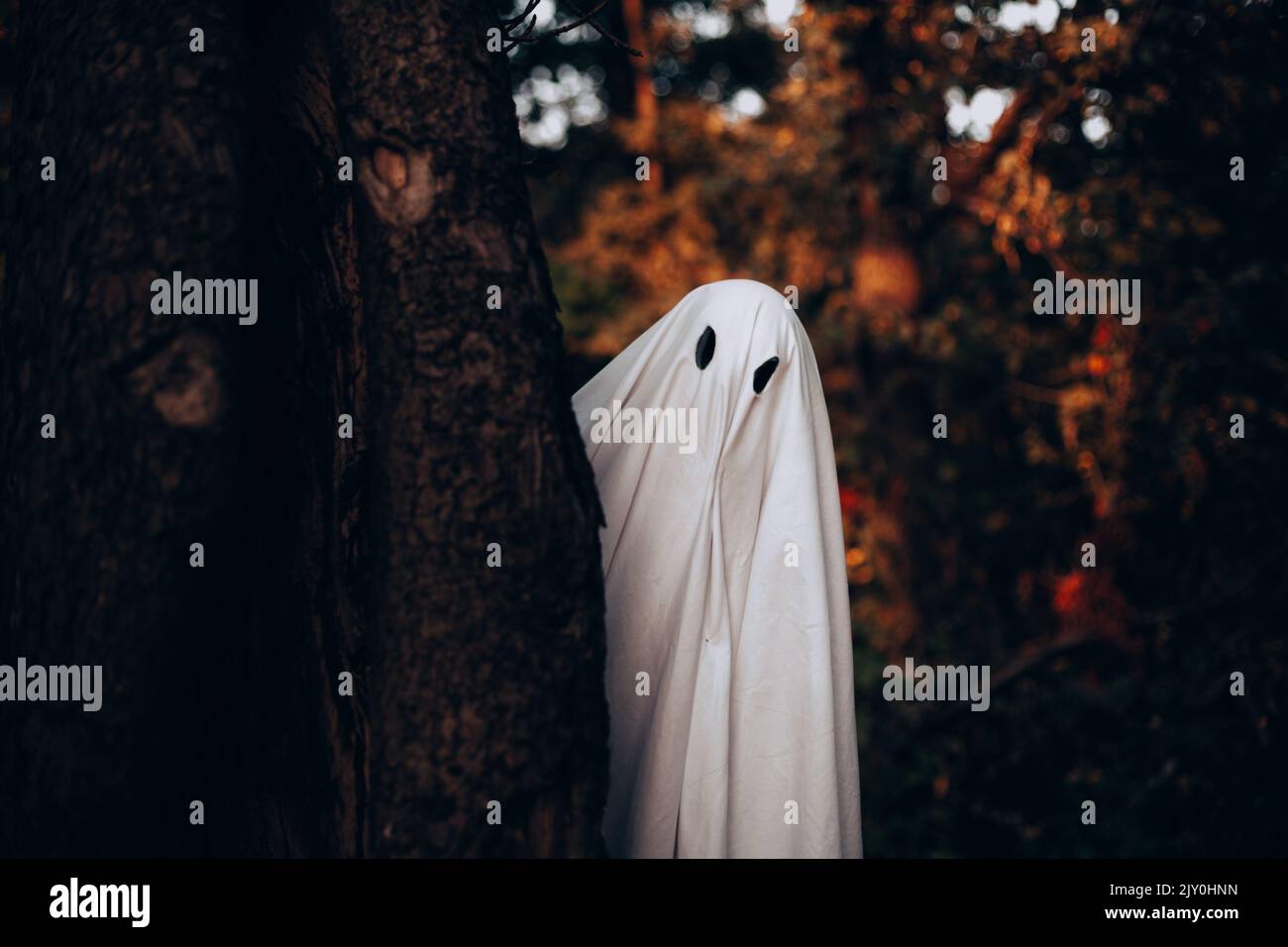 Fantôme debout derrière l'arbre en forêt pendant Halloween Banque D'Images