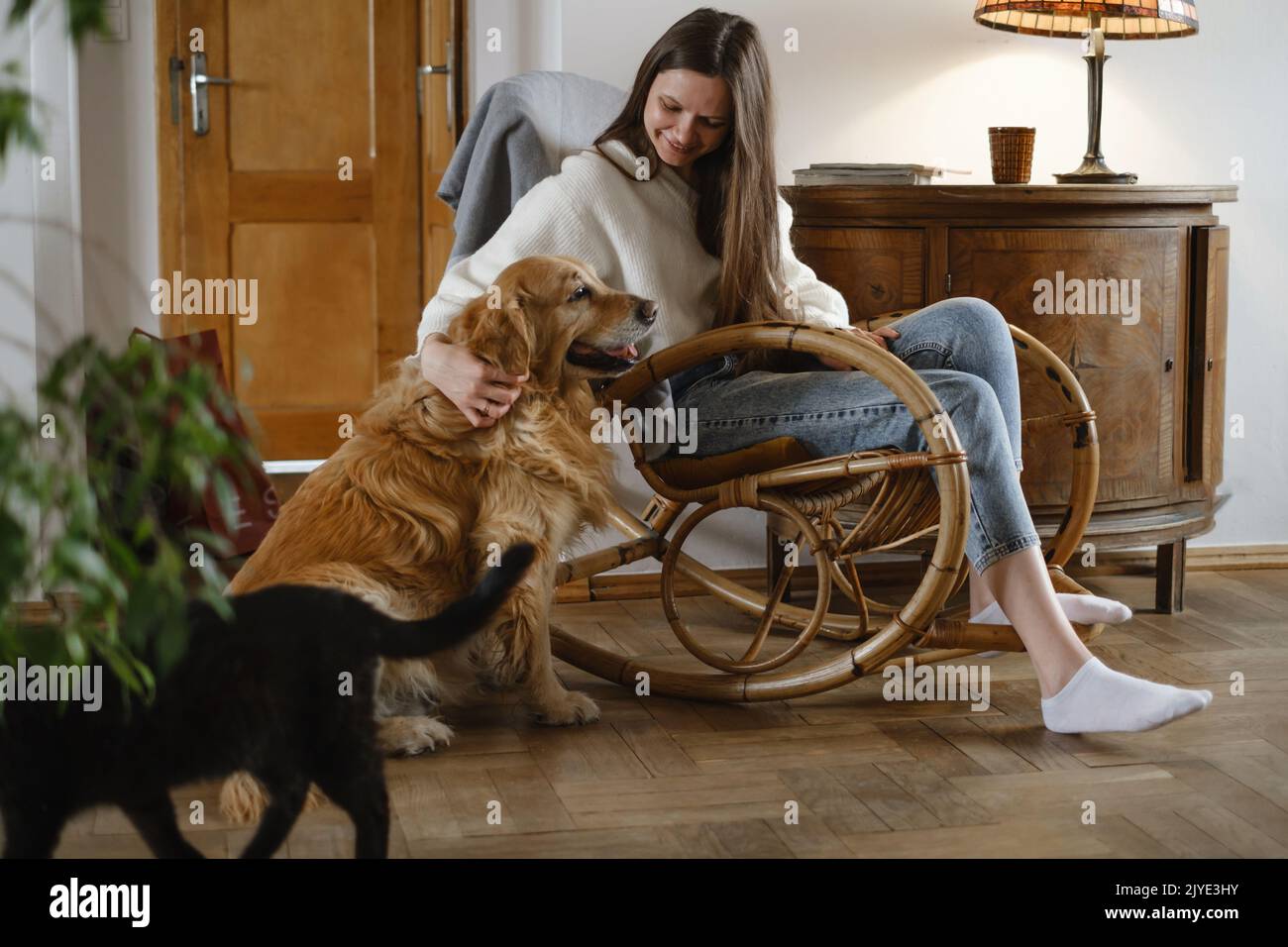 Jeune femme avec chien Golden Retriever, chat assis sur une chaise à bascule. Ambiance chaleureuse, vie lente, personnes avec animaux de compagnie. Intérieur de maison vintage Banque D'Images