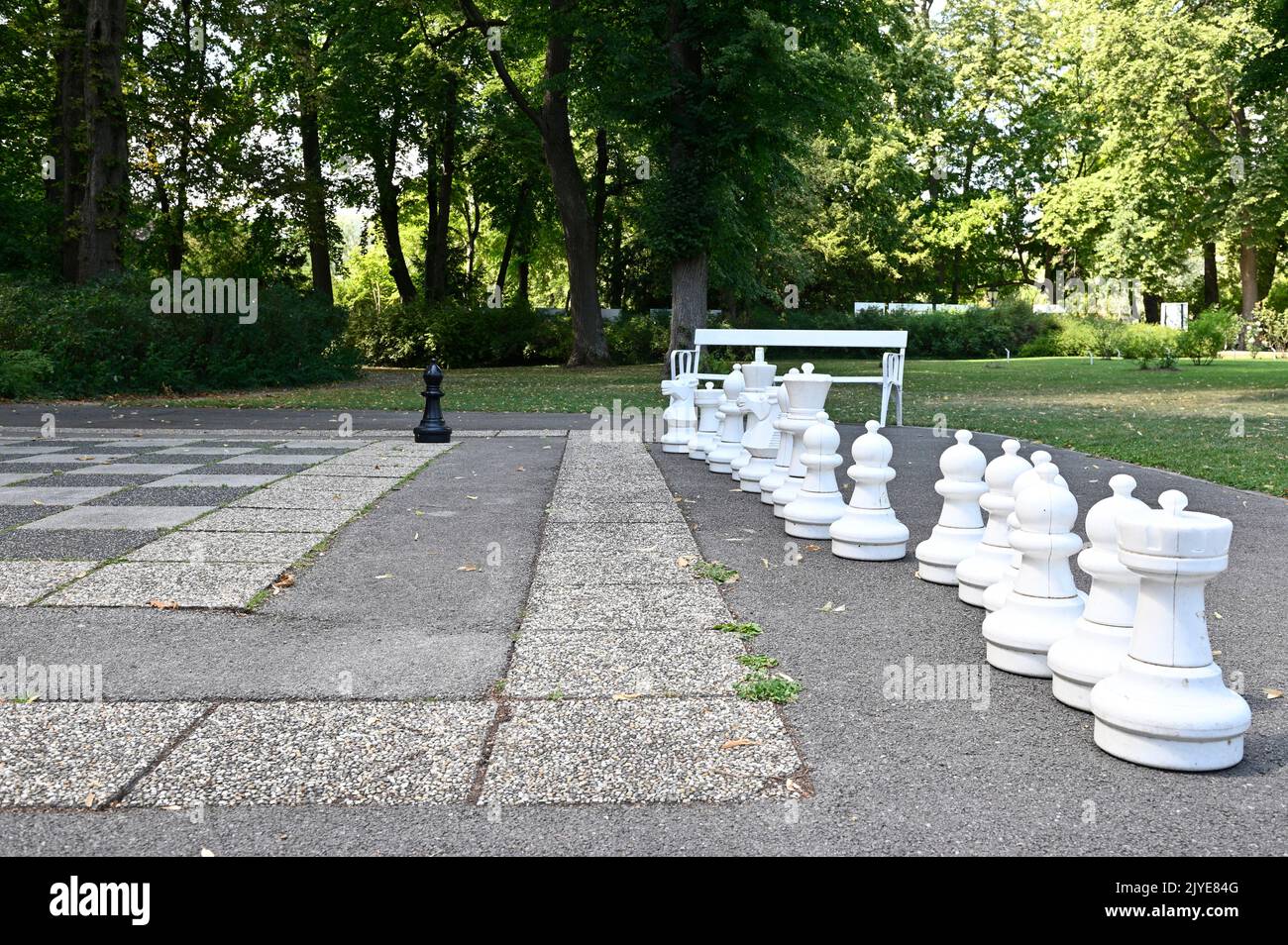 Échiquier dans le parc de Baden près de Vienne Banque D'Images