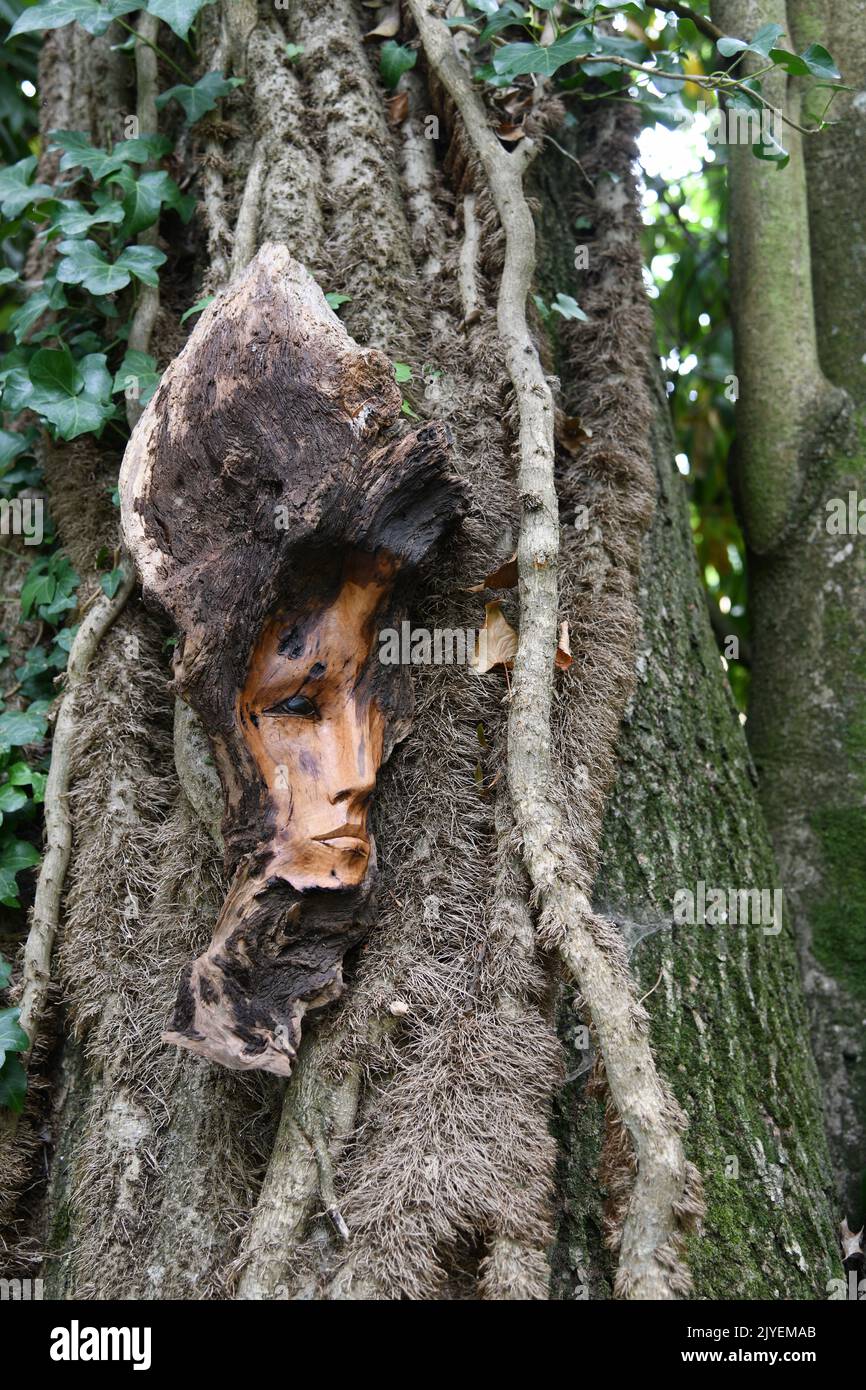 Sculpture sur le visage en bois exposée Banque D'Images