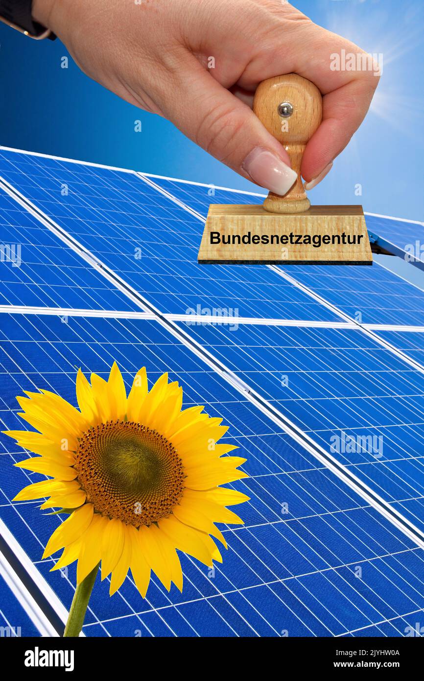 Main avec timbre ketteriung Bundesnetzagentur, Agence fédérale de réseau, FNA, panneau solaire et tournesol, Allemagne Banque D'Images