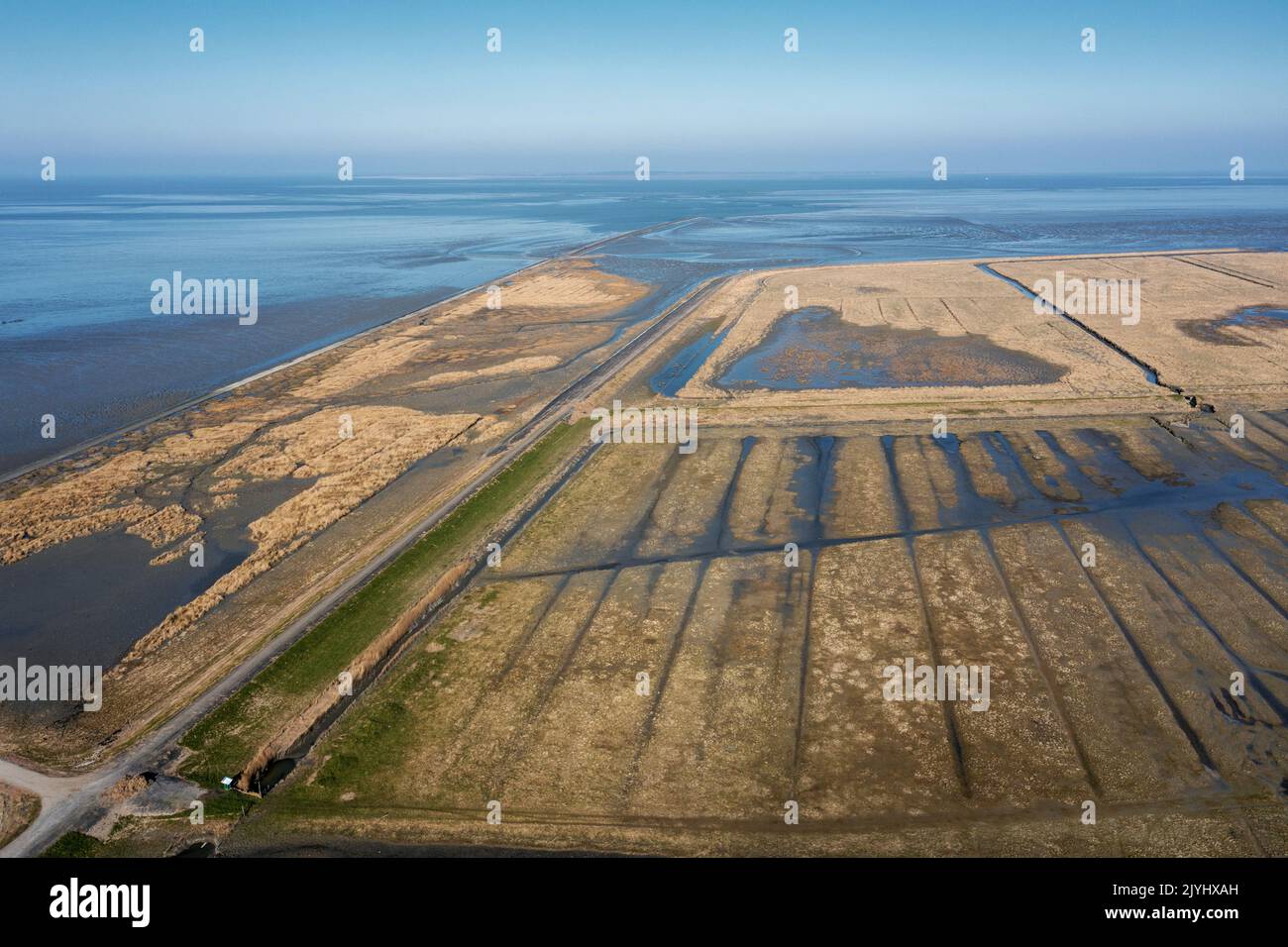 Marais salants Paezemerlannen et chemin sur la digue dans la mer des wadden, vue aérienne, pays-Bas, Frison, Paesens-Moddergat Banque D'Images